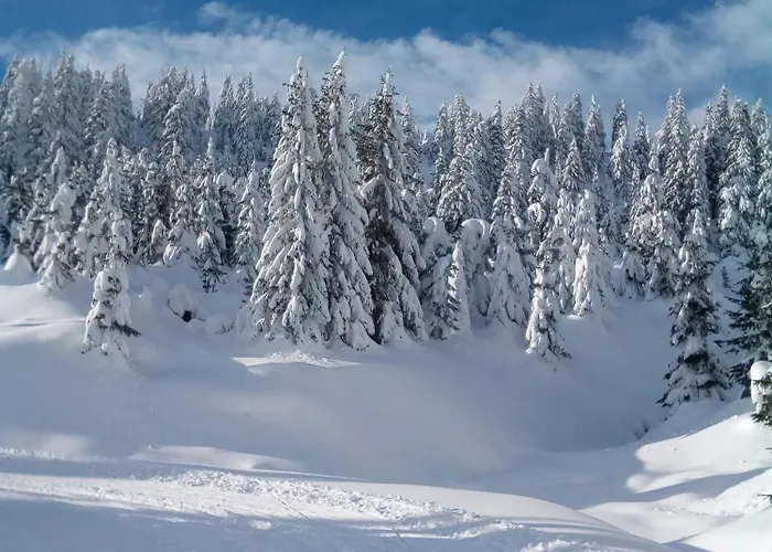 Apartmán Stodola2 Harrachov